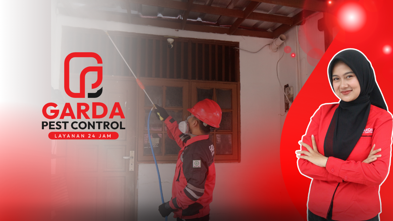 Cara Membasmi Rayap di Rumah Tangerang: Panduan Lengkap dan Teruji