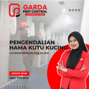 Selamat Tinggal Kutu, Selamat Datang Nyaman! Jasa Pembasmi Kutu Kucing Garda Pest Tangerang