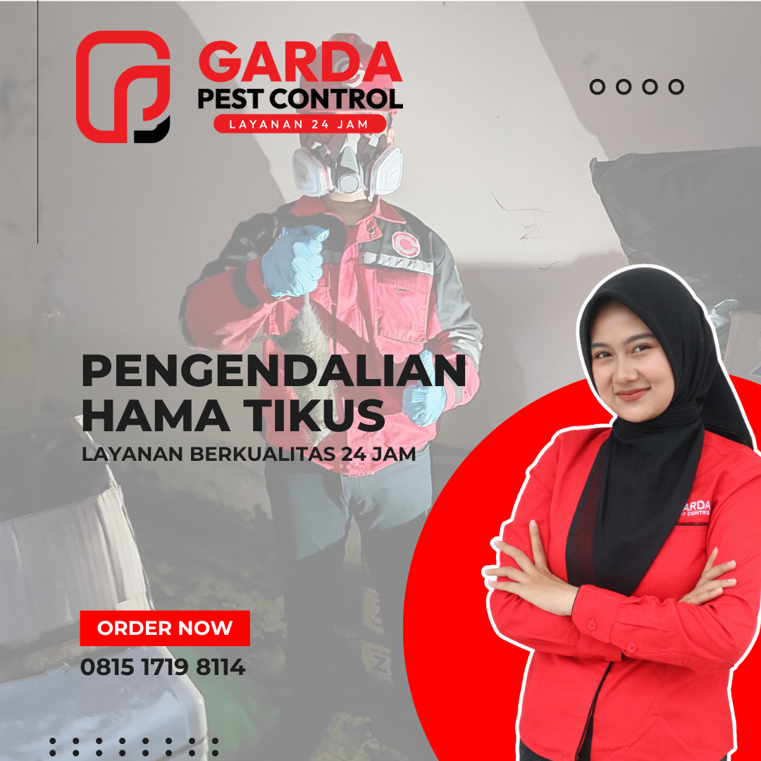 Plafon Jebol Akibat Tikus? Segera Panggil Jasa Pest Control Tikus Profesional di Tangerang 1 Plafon Jebol Akibat Tikus? Segera Panggil Jasa Pest Control Tikus Profesional di Tangerang