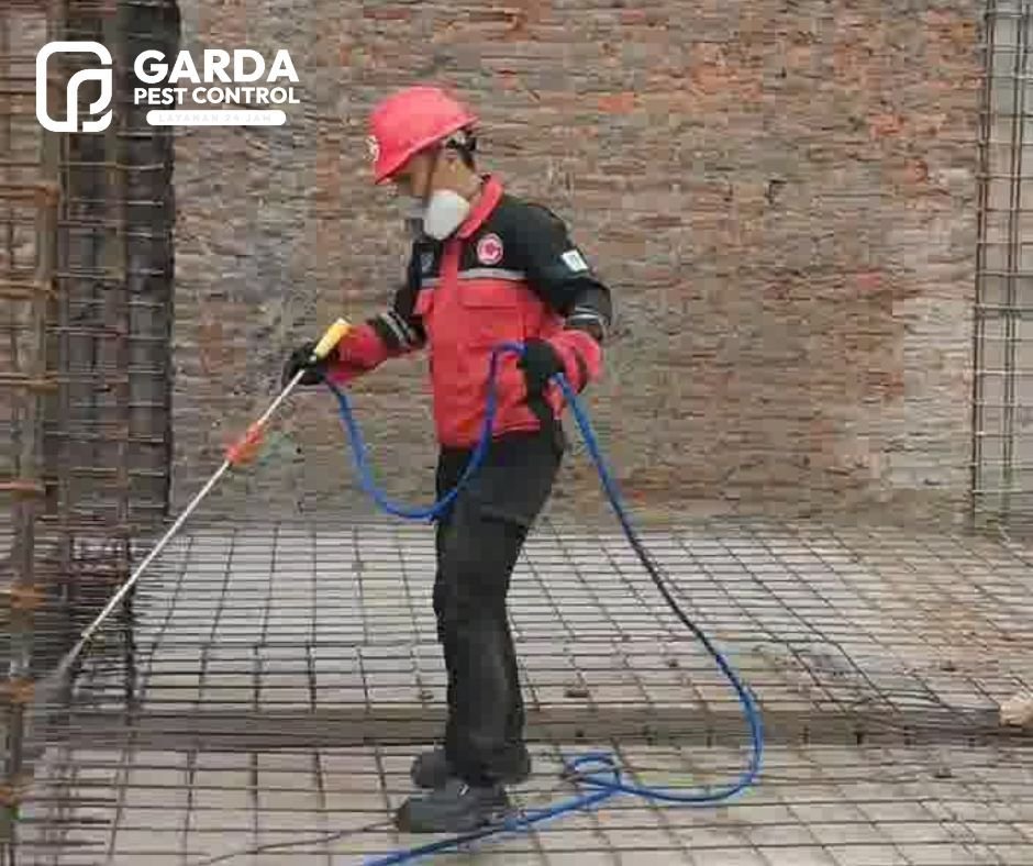 Jasa ANti Rayap Terdekat di Tangerang