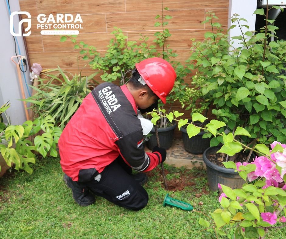 Jasa Pest Control Rayap di Tangerang Murah & Berkualitas