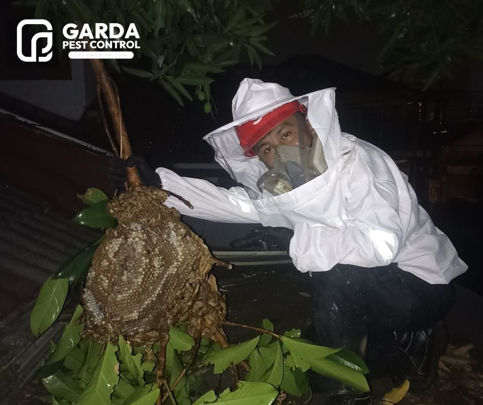 Jasa Pembasmi Tawon Terdekat di Tangerang