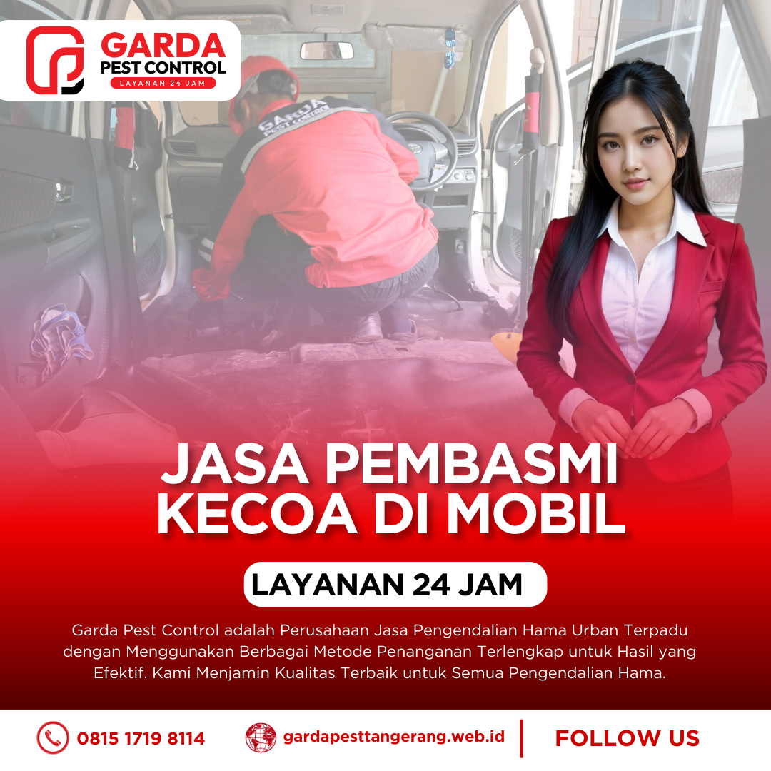 Biaya Jasa Anti Rayap Tangerang Termurah - Cek Harga Sekarang! 12 Vendor Jasa Pest Control Profesional untuk Wilayah Tangerang dan Sekitarnya