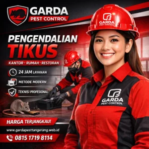 Jasa Pembasmi Tikus Terdekat di Tangerang Layanan 24 Jam