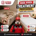 Harga Jasa Pembasmi Kutu Kasur