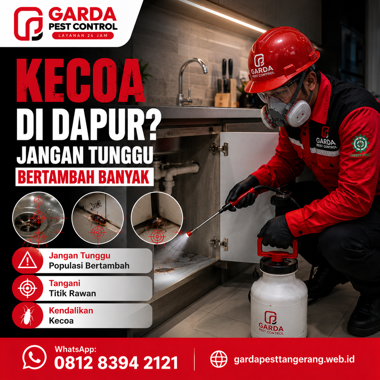 Bahaya Kecoa Bagi Kesehatan dan Sanitasi Rumah serta Cara Penanganannya