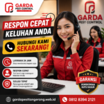 Jasa Pembasmi Kutu Kasur untuk Kamar Kost dan Apartemen Tangerang Profesional dan Bergaransi